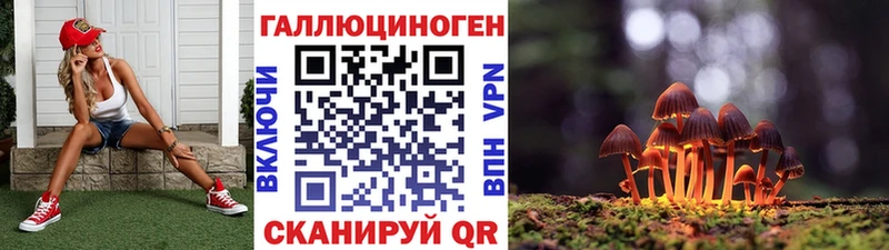 Галлюциногенные грибы GOLDEN TEACHER  купить закладку  ссылка на мегу сайт  Алейск 
